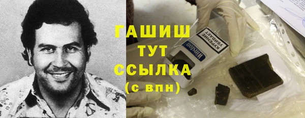 индика Беломорск