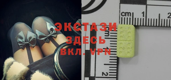 индика Беломорск