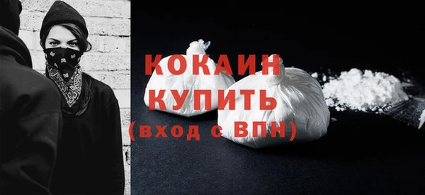 индика Беломорск