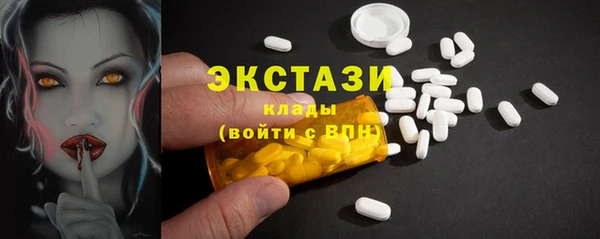 индика Беломорск