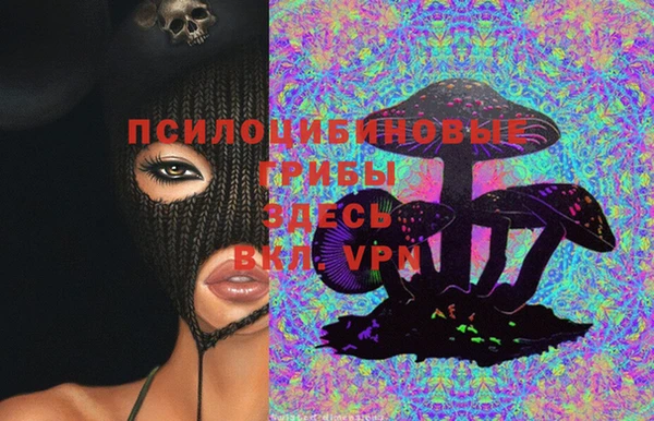 индика Беломорск