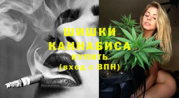 индика Беломорск