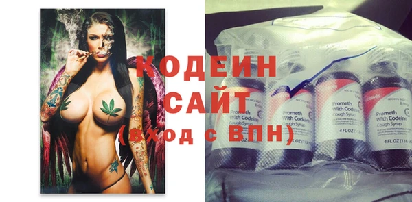 индика Беломорск
