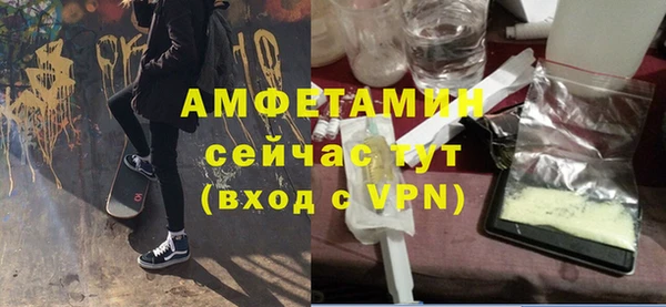 индика Беломорск