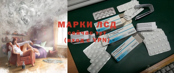 индика Беломорск