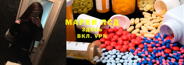 индика Беломорск