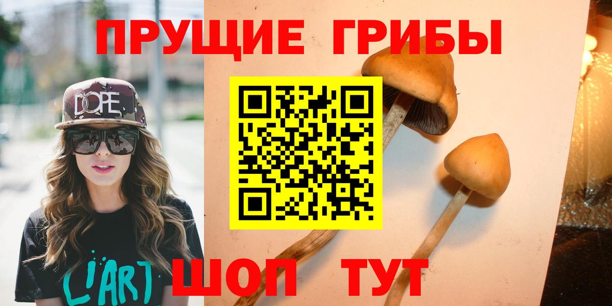 Валуйки  Псилоцибиновые грибы прущие грибы  Вход с VPN 